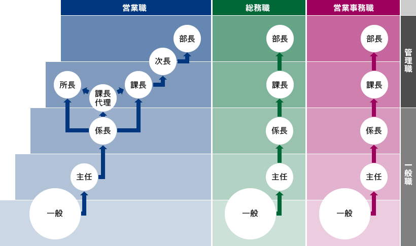 キャリアパス